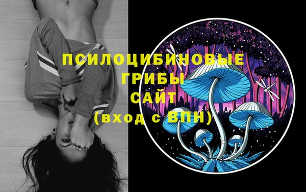 ПСИЛОЦИБИНОВЫЕ ГРИБЫ Алексин
