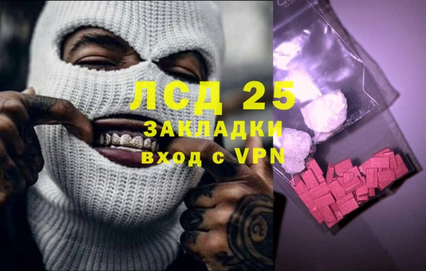ПСИЛОЦИБИНОВЫЕ ГРИБЫ Алексин