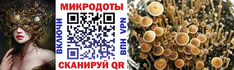 Псилоцибиновые грибы Magic Shrooms  продажа наркотиков  Тихвин 
